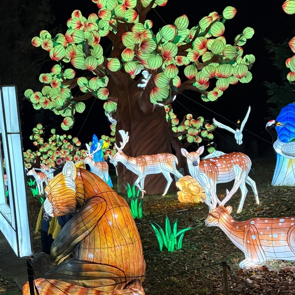 Meet your Posher, Cami - Picture 1 of 1